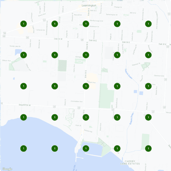 After optimization - dominant search visibility