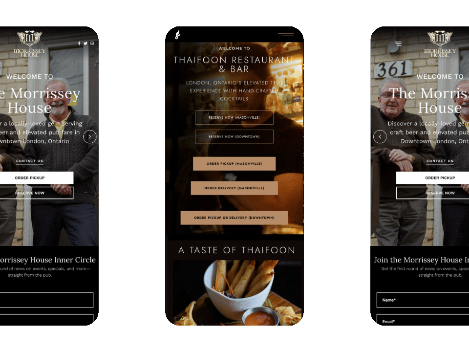 Website design showcase